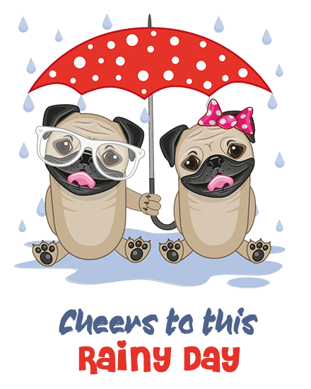 rainy day