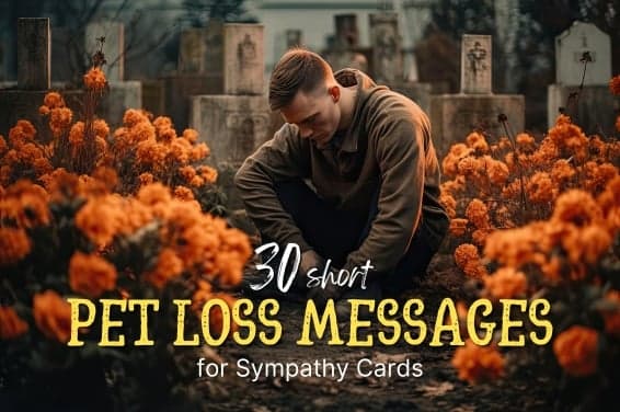 75 Short Pet Loss Messages for Sympathy Cards