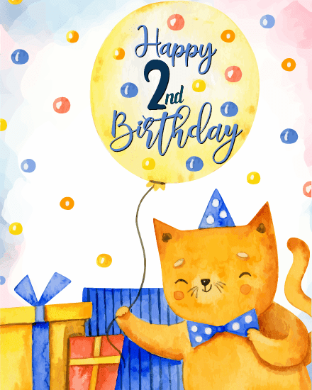 cute cat cute cat