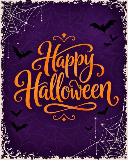 Purple Bats Webs Purple Bats Webs
